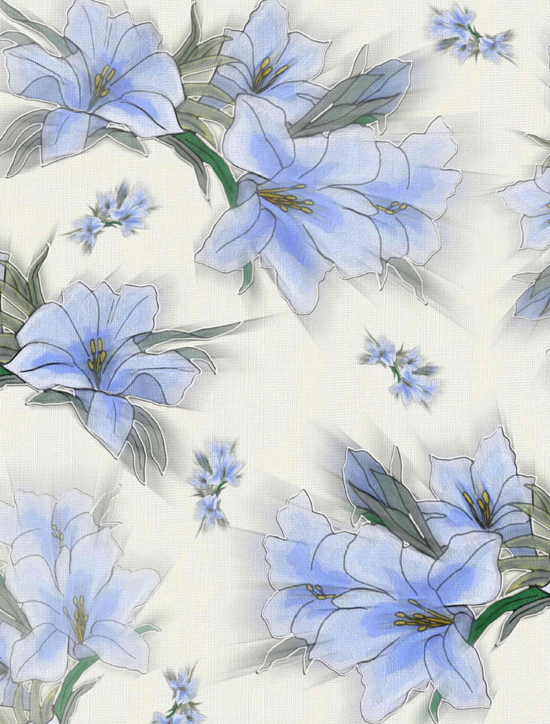 close, white color, 4K, floral, white, plant, flowers, flowering plant, photo, background, backgrounds, textured, full frame, design, flower head, blue
