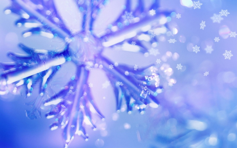 illuminated, cold temperature, background, celebration, new year, nature, glowing, snowflakes, winter, christmas, macro, decoration, close-up, plant, cold - Temperature