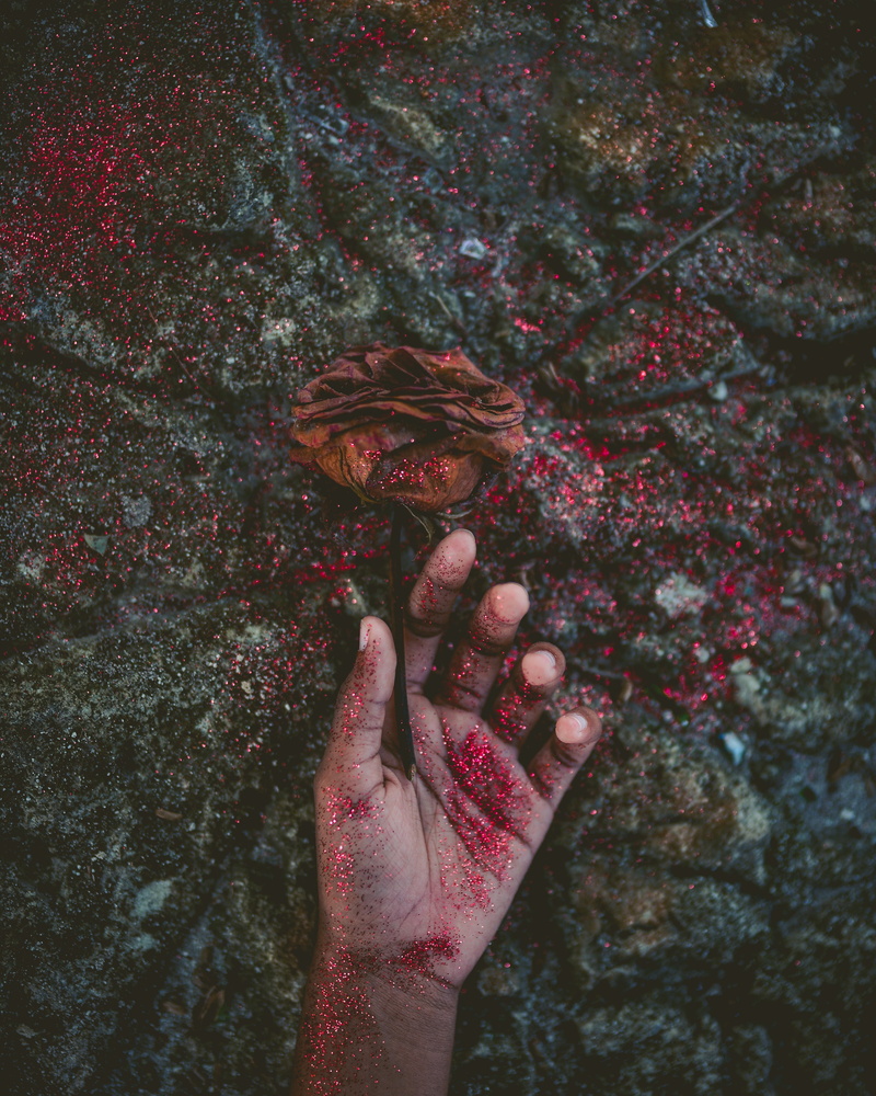 human hand, plant, sequins, flowering plant, s, left, red, beauty in nature, petal, flower head, body part, glitter, close-up, rose, flower, human body part