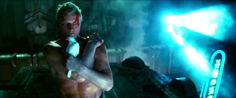 blood, action, thriller, drama, runner, blade, sci fi, 1080P