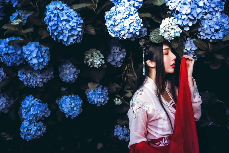 red, national costume, hairstyle, beauty, closed eyes, hydrangea, flowers, garden, girl, blue, kimono, brunette, 4K, the dark background, dress, inflorescence