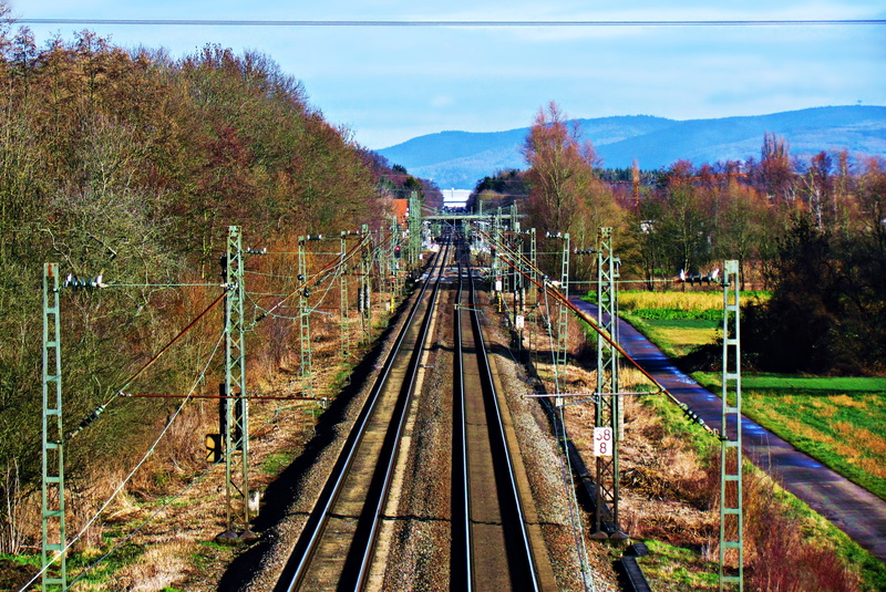 bridge, rail transportation, electricity, the way forward, public transportation, direction, growth, rails, nature, high angle view, track, beauty in nature
