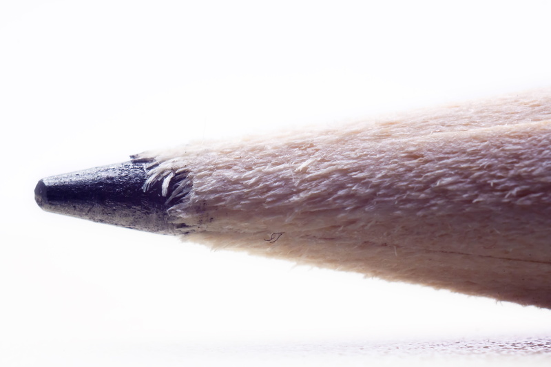 subject survey, wooden pencil, splint, chip, day, no people, graphite, macro, lead, indoors, side view, white background, feather, photography, tree, simplicity