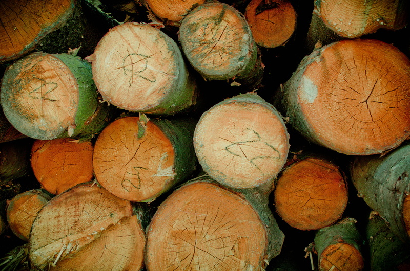 splint, healthy eating, wood floor, wood texture, lumber skyrim, deforestation, wooden furniture, woodworking industry, food, backgrounds, chip, pine wood
