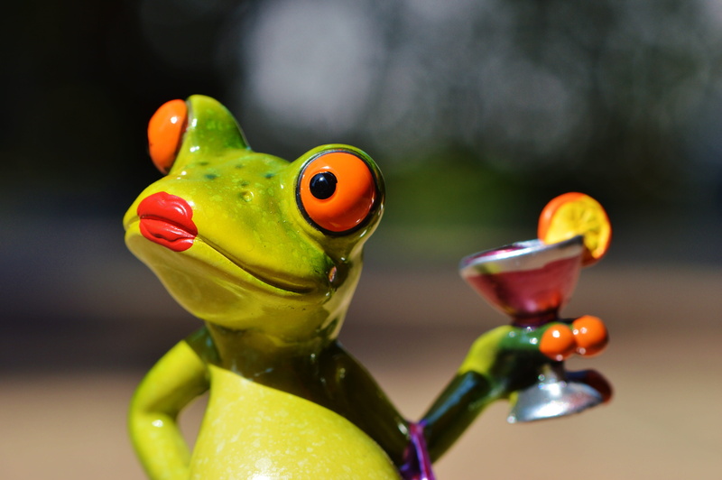 arrogant, indoors, holding, glass, frog, animal, bird, vertebrate, representation, focus on foreground, toy, figurine, no people, close-up, studio shot