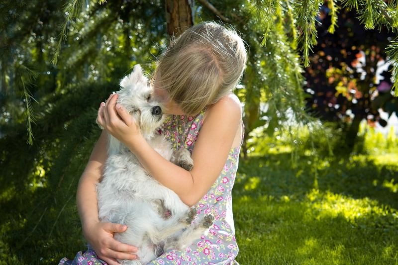 offspring, pet, small dog, innocence, snuggle, dress, nature, blond hair, one animal, positive emotion, human, girl, person, people, summer, females, caucasian Ethnicity