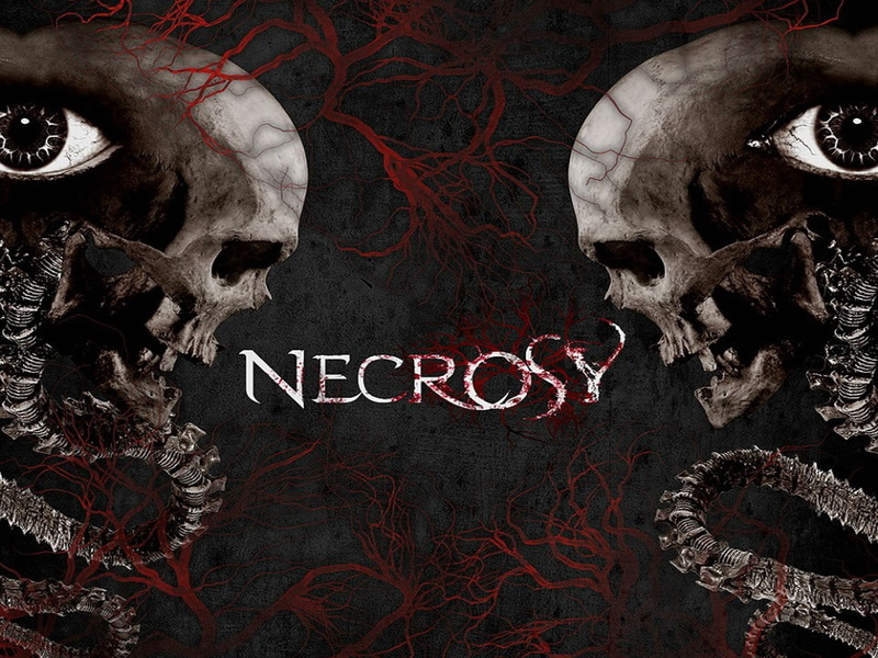 communication, art and craft, blood, poster, wall, graffiti, architecture, skull, Evil, human skeleton, Metal, bone, wall - building feature, text, heavy