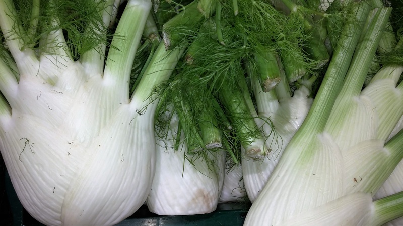 salad plate, fennel salad, garden, nature, natural, consumerism, horizontal, frisch, white color, large group of objects, full frame, still life, colds