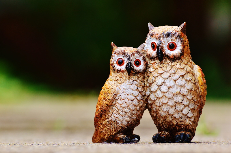 close-up, body part, day, funny, nature, focus on foreground, sweet, bird, mouth open, figurines, ceramic, feather, owls, no people, 4K, figures, brown owl
