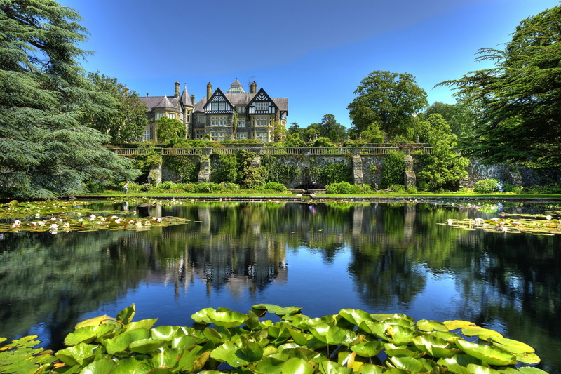 water lilies, 2K, pond, nature, water, gardens, united kingdom, flowers, lilies