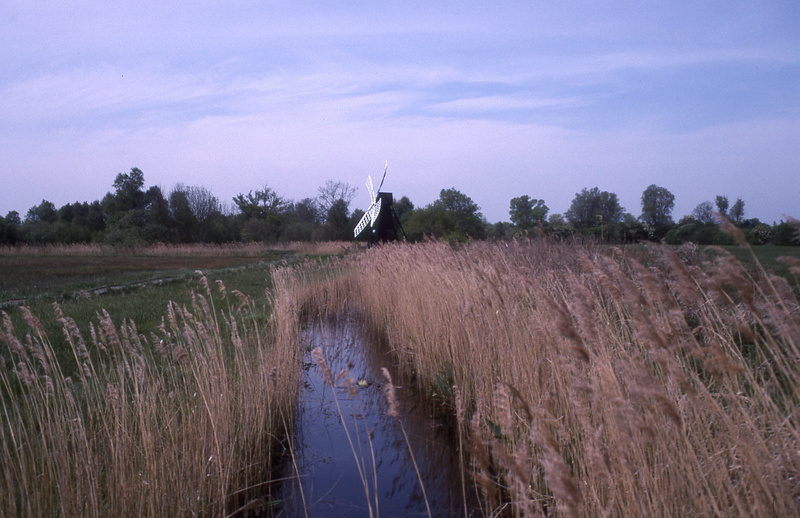 agriculture, environment, england, landscape, day, east anglia, wicken, sky, land, growth, nature, tranquility, united kingdom, fen, outdoors, milton keynes