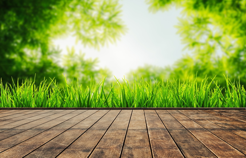 wood, grass, leaves, summer, sunshine, 5K, green, the sun