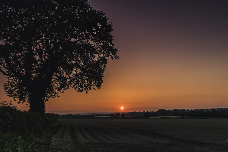 land, sunset, silhouette, nature, tranquil, natural, outdoors, landscape, field, scenics - nature, travel, tranquil scene, 5K, environment, country, no people