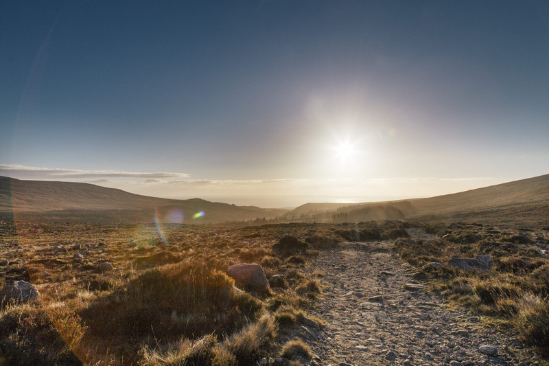 walk, idyllic, newry, plant, mourne mountains, tranquility, nature, scenics - nature, pathway, united kingdom, sky, non-urban scene, 5K, bright, no people