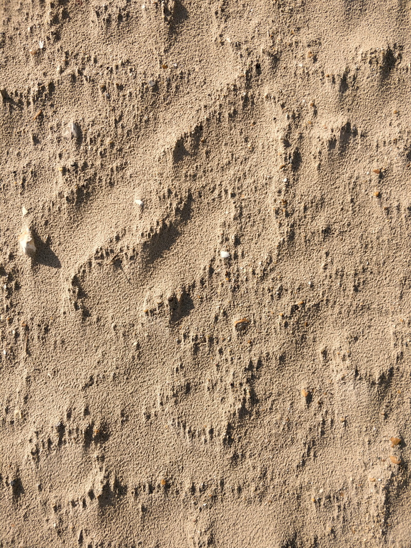 beach, outdoors, shadows, bournemouth, land, full frame, rough, footprint, day, seaside, track - imprint, sand, bournemouth beach, sun, print