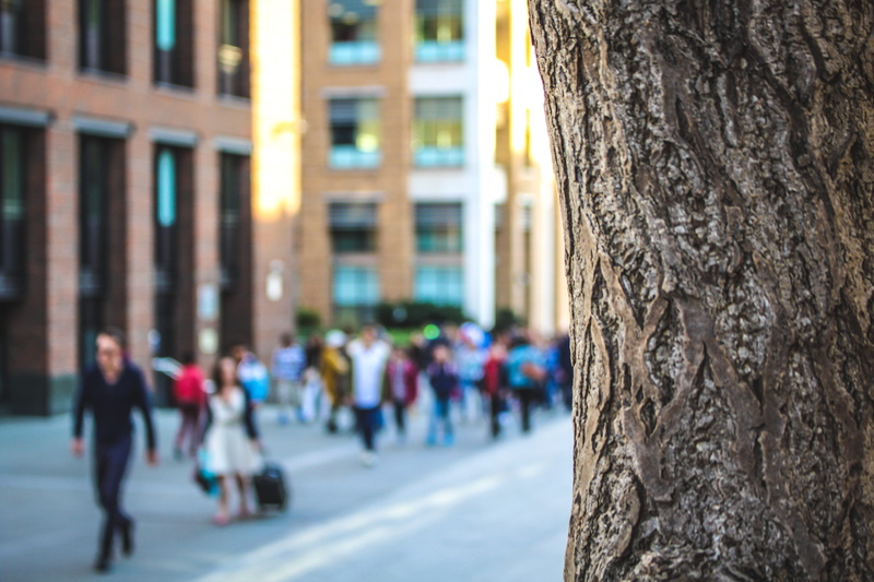 walking, city, group of people, blur, tree trunk, built structure, street, architecture, london, men, trunk, real people, nature, outdoor, 5K, light, sun