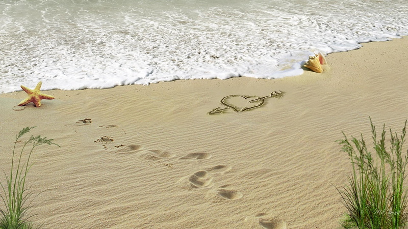 shell, ocea, heart, sea, s, beige, star, sea shell, footprints, fish, ocean, grass, valentines day, 1080P, love, summe, beach, letter, star fish