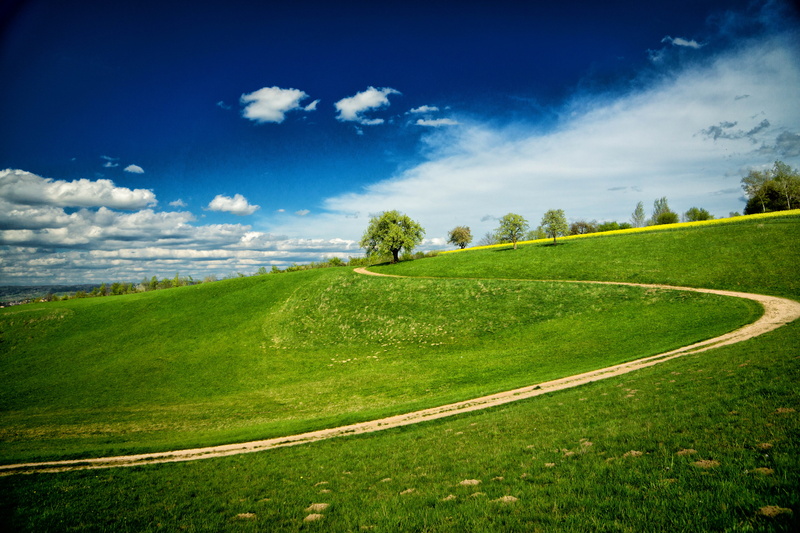 environment, no people, tranquility, meadow, scenics - nature, pasture, tree, farm track, outdoors, slope, tranquil scene, transportation, cloud - sky