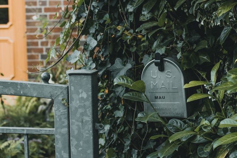 u. s. mail, leaves, hanging, gray, lemon, built structure, nature, us, plant part, plant, fade, green, front or back yard, no people, architecture, mail