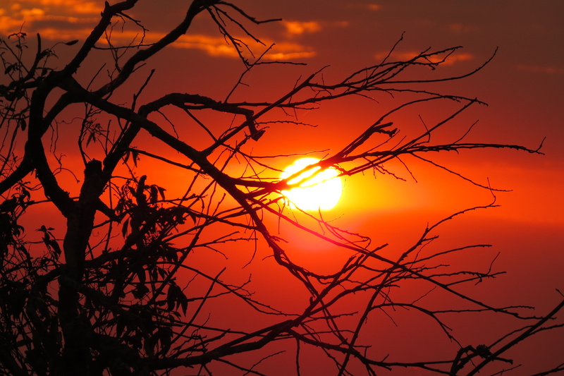 sun, nature, 4K, trees, no people, silhouette, star, brazil, low angle view, meditation, orange, lens flare, clouds, peak of goats, tranquility, sunshine