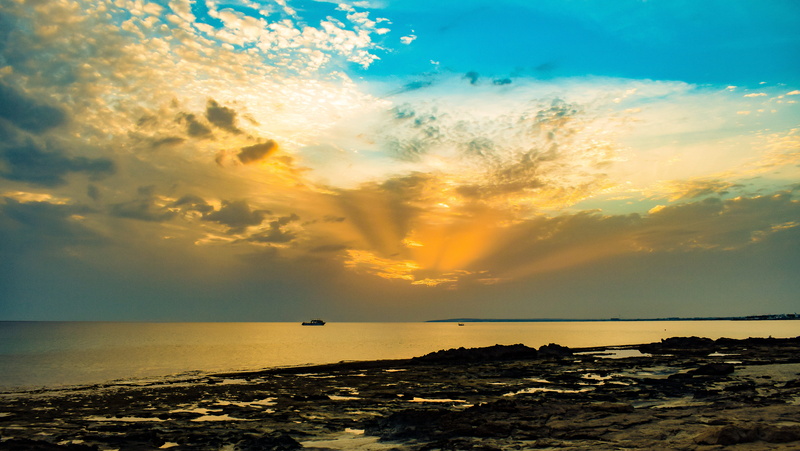nature, 5K, animal, cloud - sky, sea, evening, sunbeam, sunset, dramatic, animal themes, landscape, tranquility, horizon over water, one animal, no people