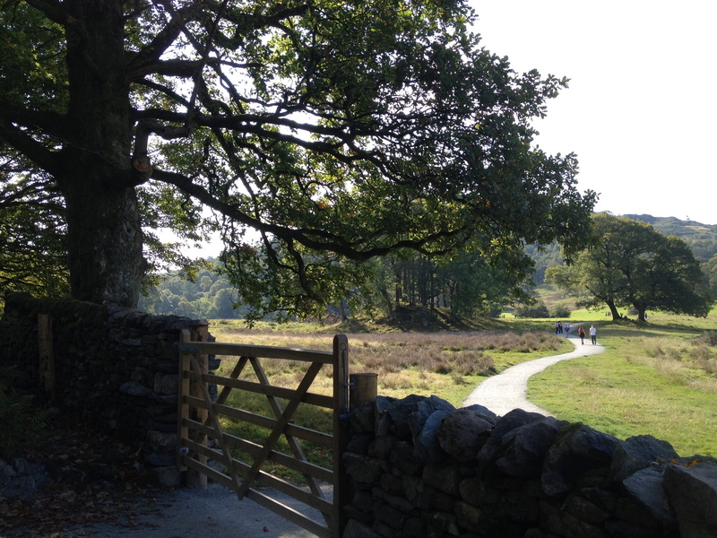 2K, boundary, grass, tranquility, tree, non-urban scene, countryside, walking, plant, land, Walks, green color, no people, field, barrier, fence, Lake District