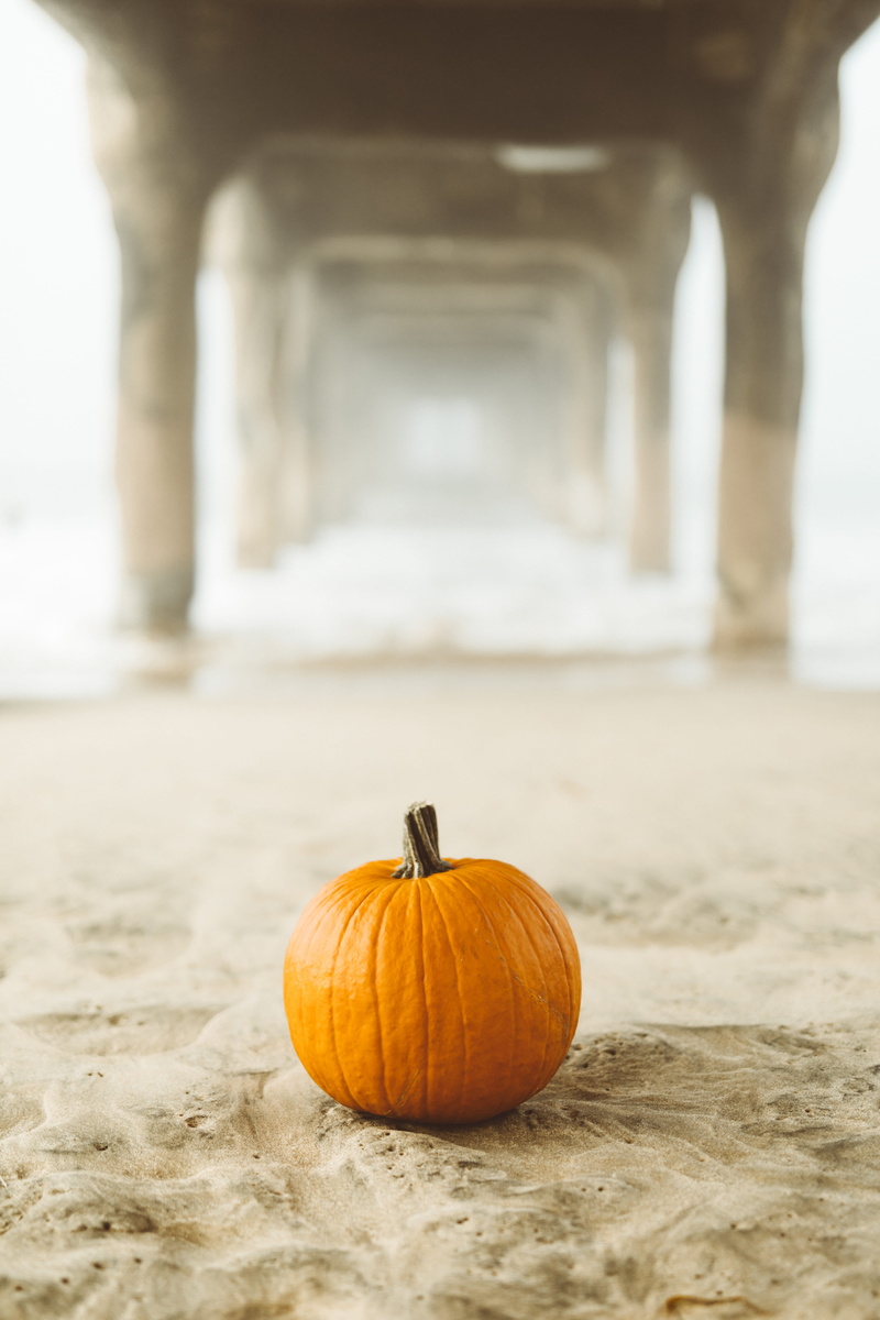 day, pumpkin pie, outdoors, nature, wellbeing, ocean, single object, la, freshness, pumpkin, beach, orange, focus on foreground, food and drink, thanksgiving