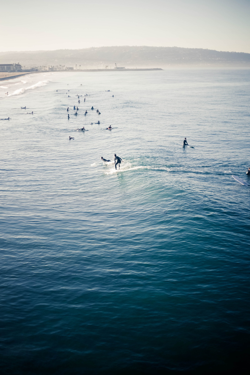 surfing, outdoors, sea, animals in the wild, tranquil scene, californium, vertebrate, time, ocean, bird, animal wildlife, sky, animal themes, nature, waves