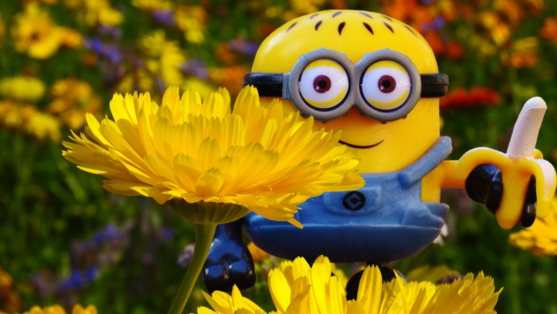 representation, 2K, toy play, nature, fun, no people, flower head, animal, growth, yellow, beauty in nature, day, flowering plant, funny, meadow, banana