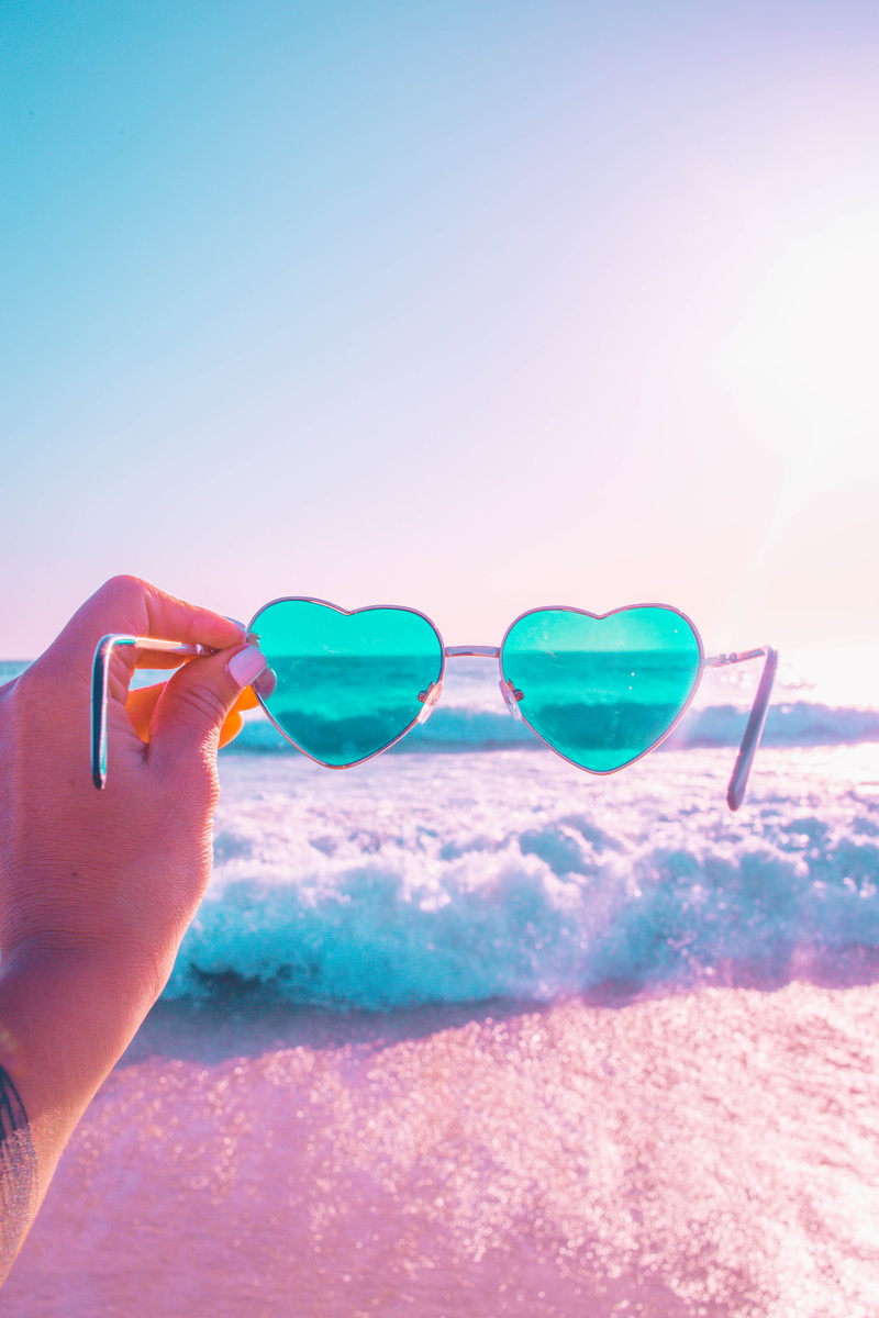 beach, human hand, holding, animal, 5K, real people, glasses, one person, body part, fashion, human body part, filter, land, summer, hand, ocean, leisure activity