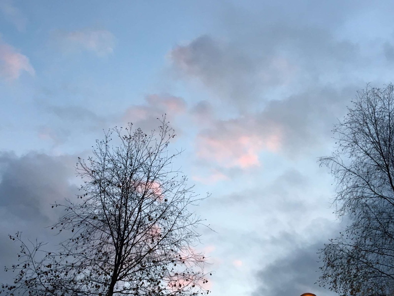 winder, beauty in nature, no people, nature, growth, clouds, cloud - sky, tree, nice, branch, scenics - nature, outdoors, silhouette, bare tree, day, plant