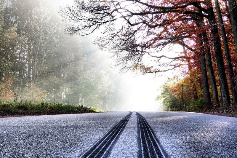 trees, tire tracks, 2K, sun rays, asphalt, road
