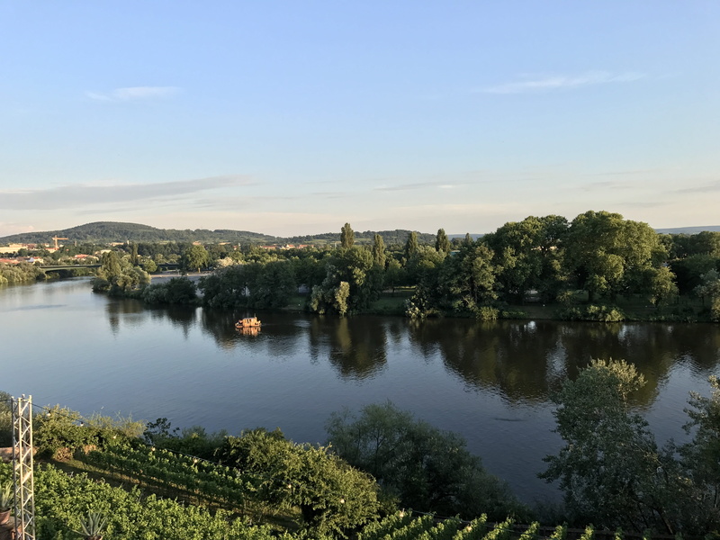 non-urban scene, leisure, no people, river, main, day, holiday, waterfront, recovery, outdoors, tranquility, nature, waters, aschaffenburg, growth, vineyard