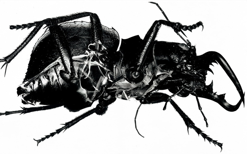 720P, Music, Massive Attack