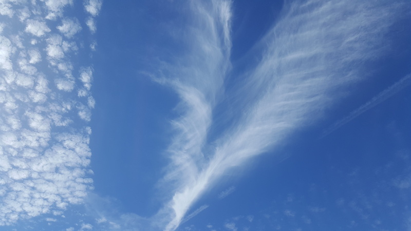 outdoors, day, cloud - sky, sky, heart shape, environment, 5K, low angle view, full frame, sunlight, tranquility, wispy, scenics - nature, wind, white color