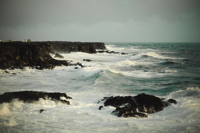 sea, stormy, no people, splashing, rock - object, wave, nature, rocks, outdoors, birds, 5K, horizon, rock, huge waves, massive waves, reykjavik, scenics - nature