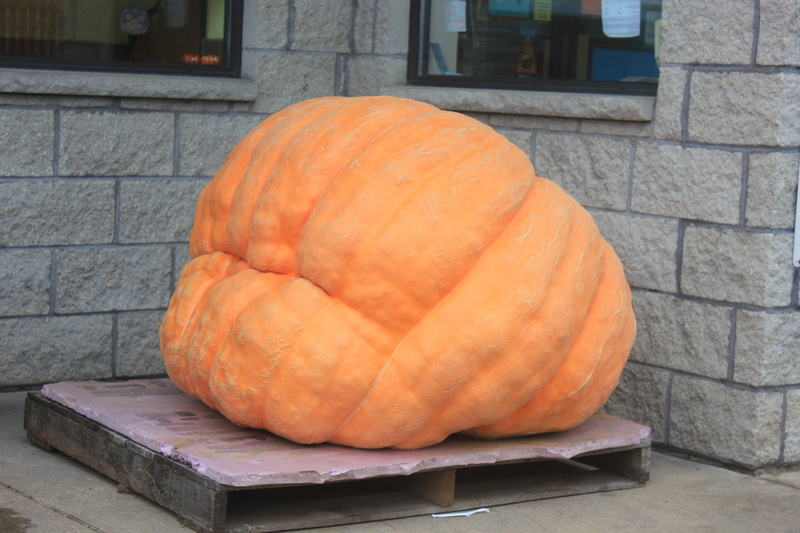 giant pumpkin, vegetable, raw food, orange color, day, no people, wellbeing, still life, architecture, orange, outdoors, massive, healthy eating, built structure