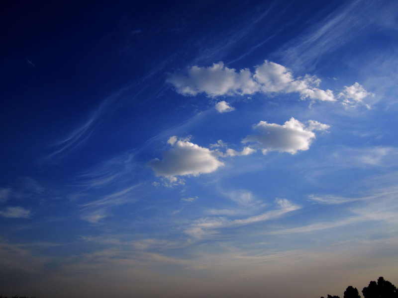 backgrounds, outdoors, dramatic sky, sky, environment, beauty in nature, no people, tranquil scene, low angle view, 4K, tranquility, wind, meteorology