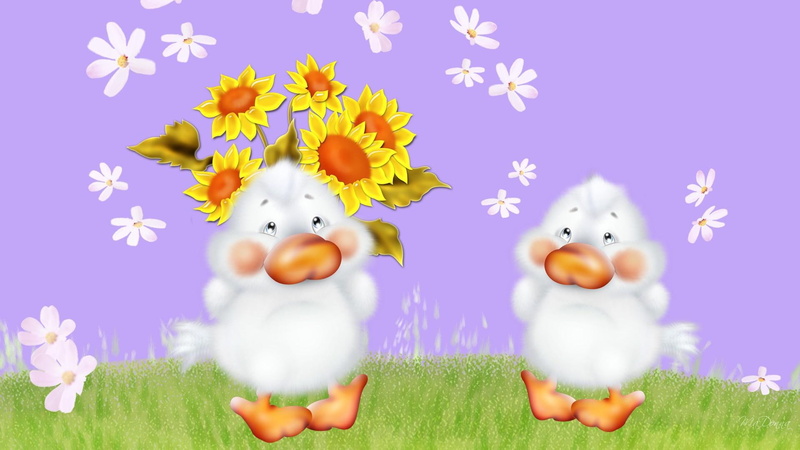 sunflowers, grass, spring, cute, sweet, firefox persona, summer, 1080P, ducks, lavender, sunflower, flowers, 3d and abstr