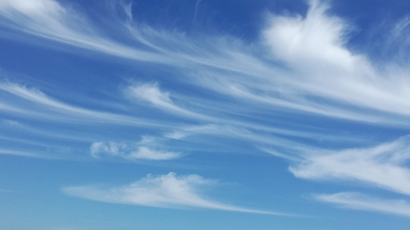 wispy, painter, no people, white color, field, environment, movement, beauty in nature, summer, white, day, wind, painting, sunlight, scenics - nature