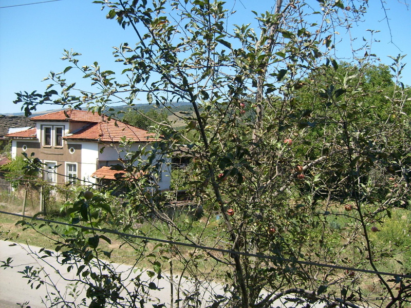 house, window, village, 3d and abstr, summer, photography, photo, bulgaria, road, mountain, 1080P, green, nature, tree