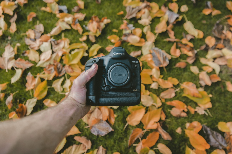 human body part, activity, leaf, digital camera, gear, equipment, 1dxmarkii, one person, photography, technology, leisure activity, plant part, camera