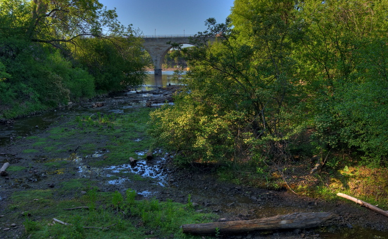 tranquility, tree, arch bridge, forest, bridge - man made structure, beauty in nature, River, flowing, no people, water, stream - flowing water, Mississippi