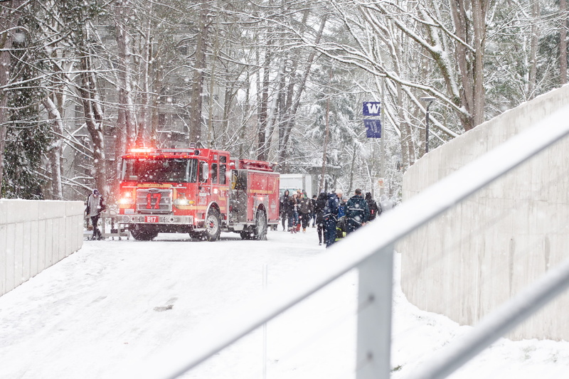 extreme weather, cold temperature, fire truck, hornet, mode of transportation, human, frozen, people, land vehicle, transportation, plant, firetruck, emergency