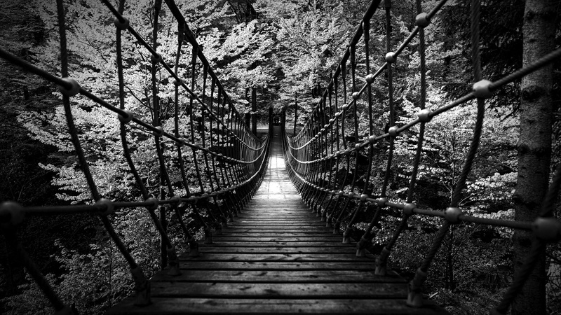 hd, bridge, bw, 1080P, nature, forest