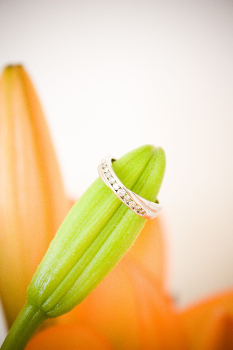 4K, occasion, cake, engagement, no people, beauty in nature, girl, wedding, friends, focus on foreground, Bride, animal, silver, lilies, diamonds, church