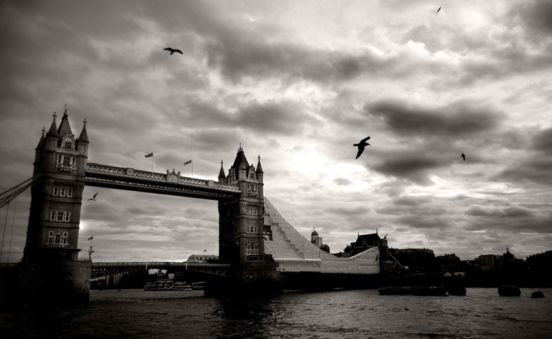 Vintage, cityscape, Tower, animal wildlife, animal, vertebrate, bridge, no people, sky, grayscale, architecture, cloud - sky, flying, Bridge, London