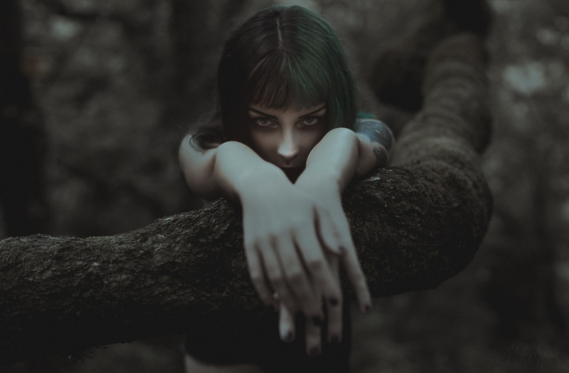 tree trunk, dark, lifestyles, 1080P, Alpha Moon, day, hand, hairstyle, 500px, innocence, portrait, childhood, front view, tree, one person, child, focus on foreground