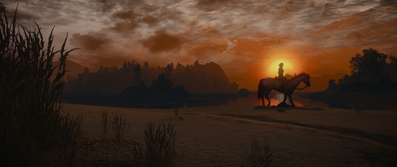 horse, video games, The Witcher, The Witcher 3: Wild Hunt, sunlight, 2K, sky