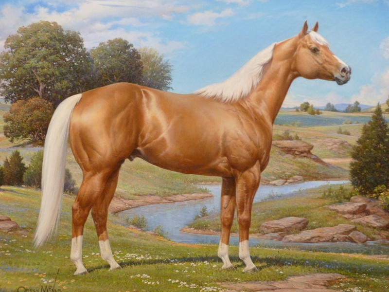 1080P, mammal, side view, tree, brown, profile view, horse, field, outdoors, one animal, no people, livestock, animal themes, day, nature, horse desktop  hd pics